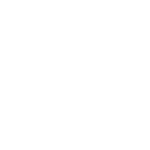 suzano
